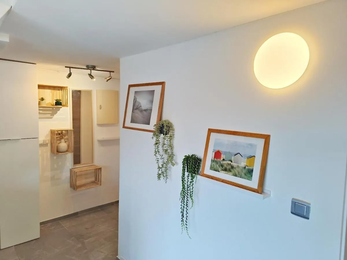 Saint-Raphaël Charmant Appartement A 50M Des Plages צרפת